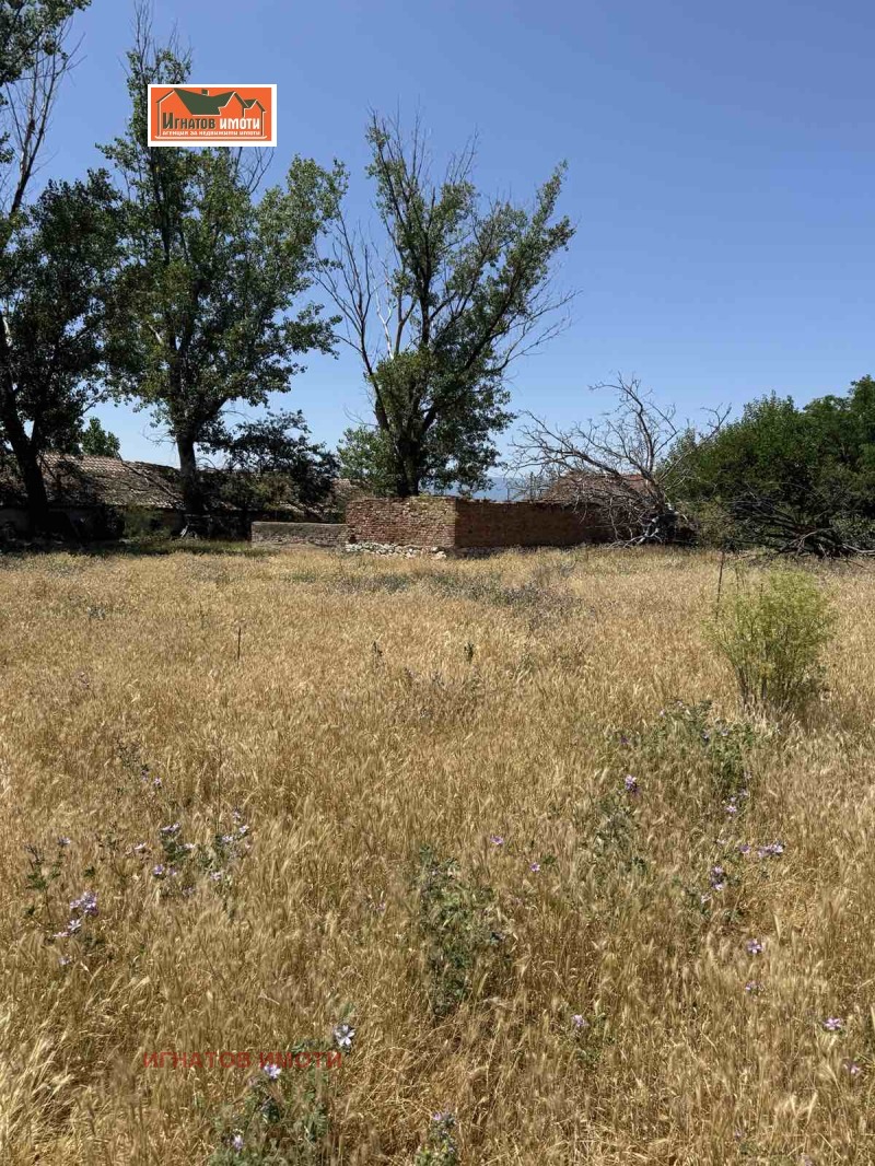 For Sale  Industrial building region Pazardzhik , Malo Konare , 500 sq.m | 13246912 - image [7]