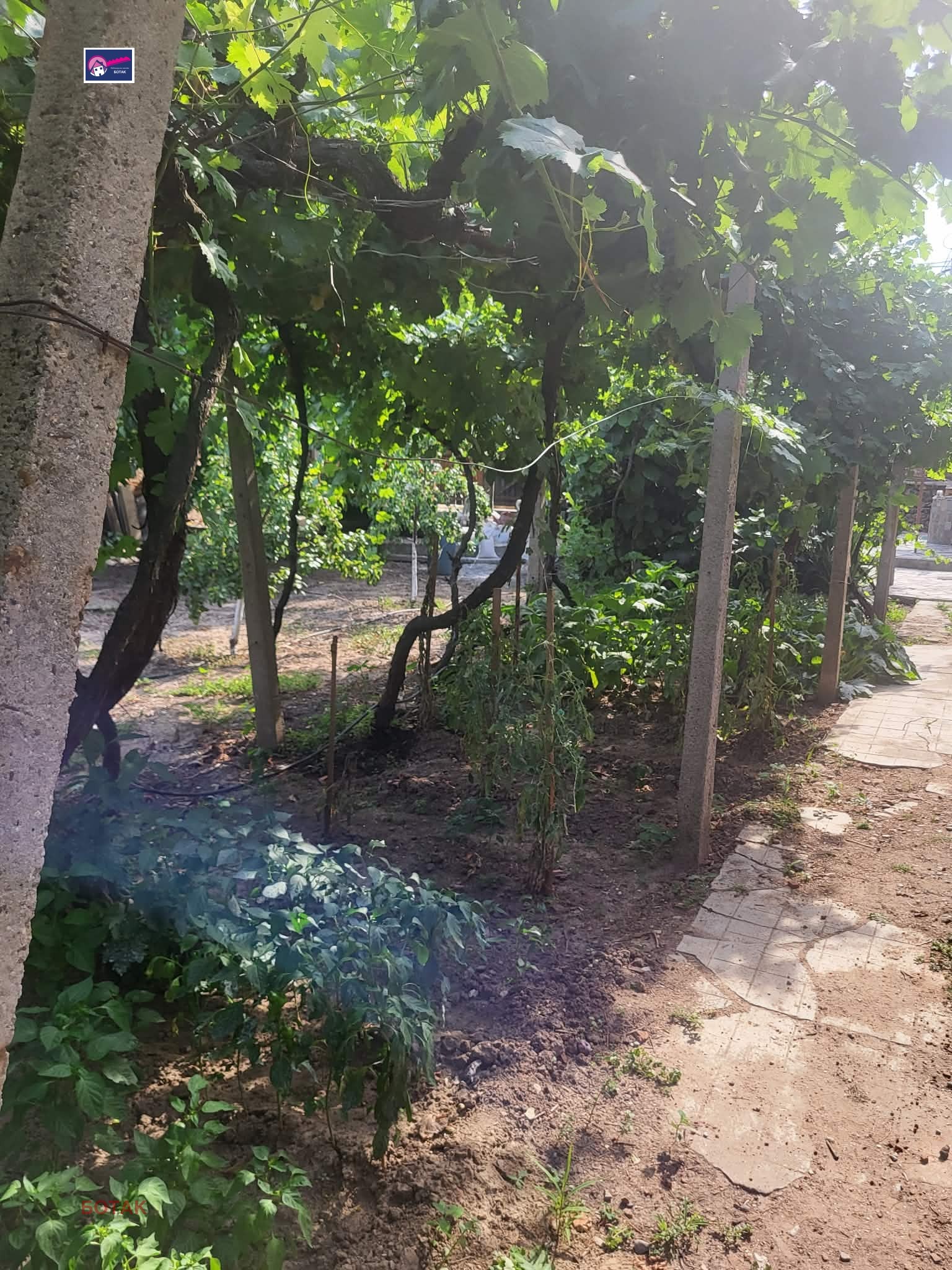 Продава КЪЩА, с. Мененкьово, област Пазарджик, снимка 13 - Къщи - 55323355
