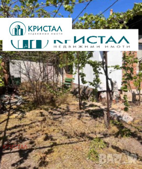 ������ ������� ����