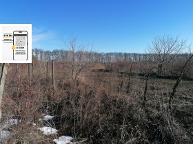 ����� ������� ���������� ����,�. �������, ������ ������