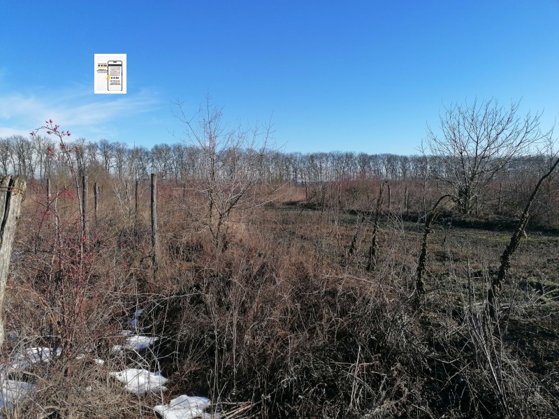 Продава ЗЕМЕДЕЛСКА ЗЕМЯ, с. Сенокос, област Добрич