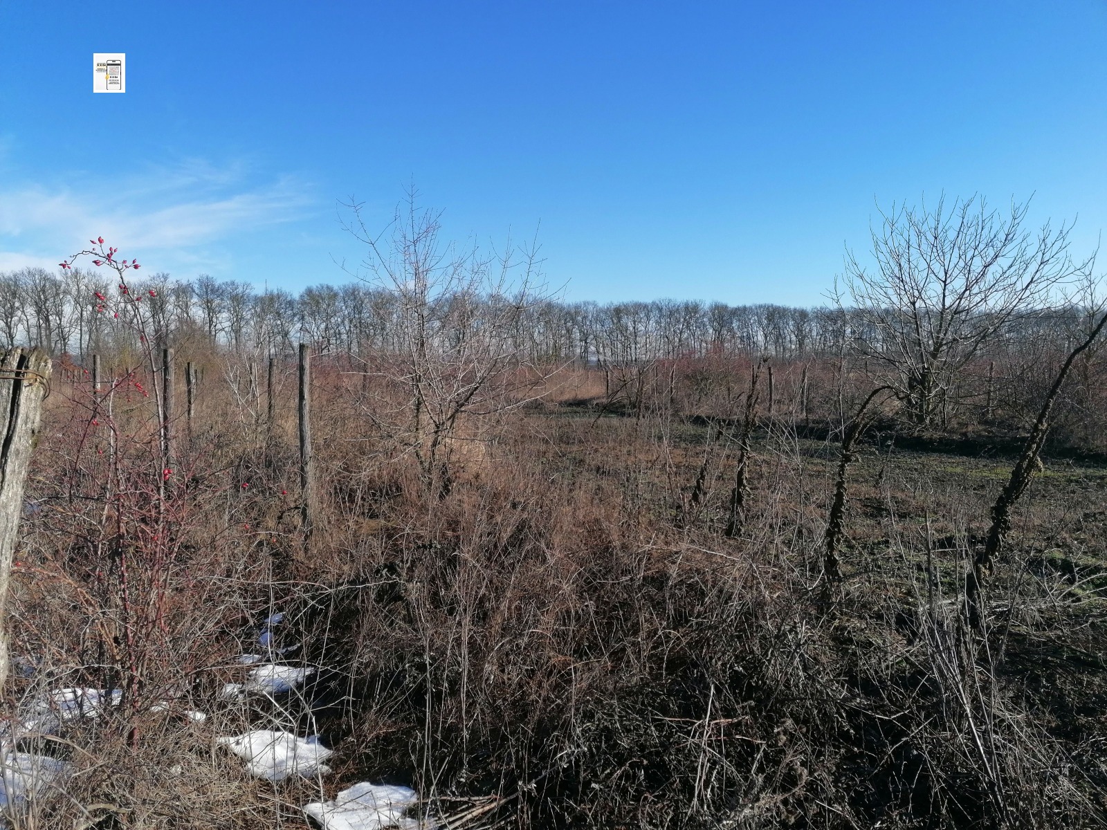 Продава ЗЕМЕДЕЛСКА ЗЕМЯ, с. Сенокос, област Добрич