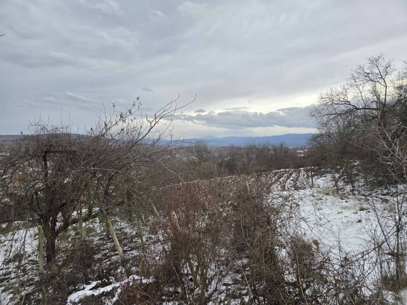 Продава КЪЩА, с. Пчелище, област Велико Търново, снимка 15 - Къщи - 53439729