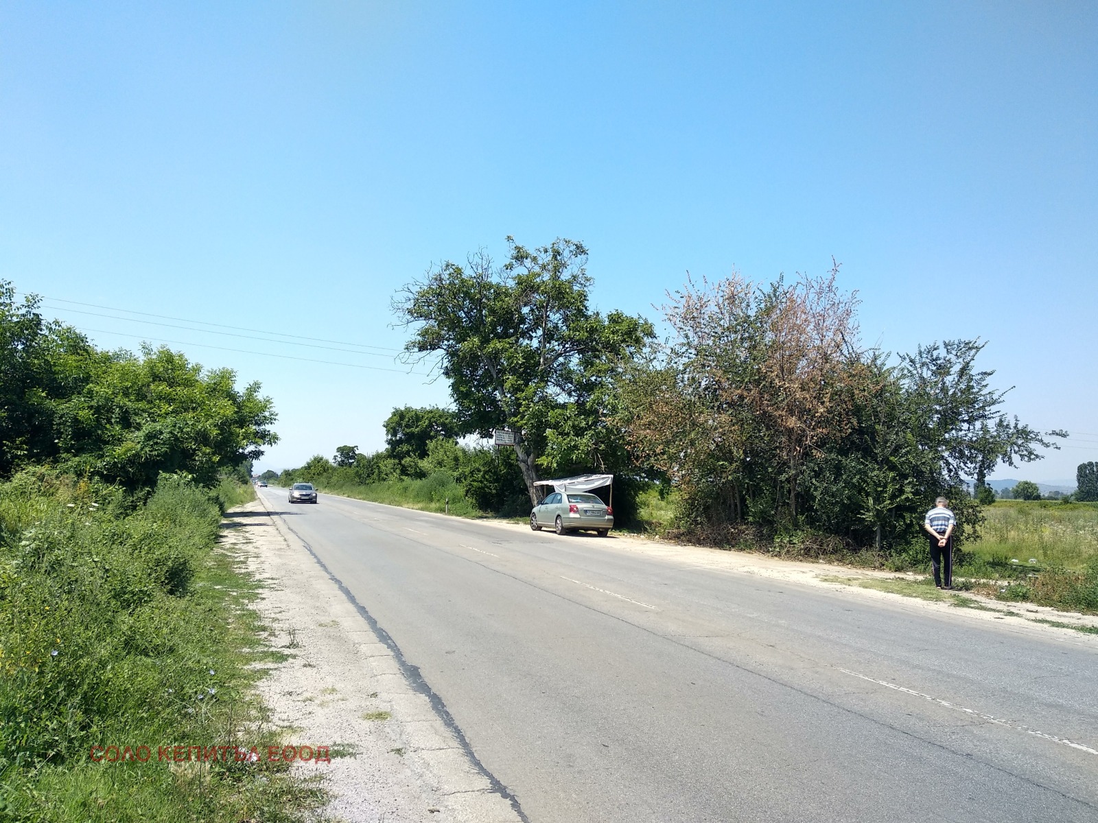 Продава ПАРЦЕЛ, с. Звъничево, област Пазарджик