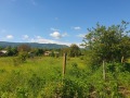 Продава ПАРЦЕЛ, с. Къпиново, област Велико Търново, снимка 3