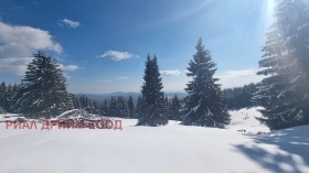 Οικόπεδο Μομτσηλοβτση, περιοχή Σμόλιαν 13