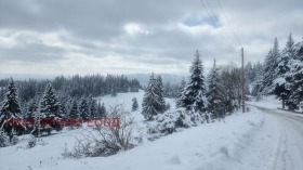 Οικόπεδο Μομτσηλοβτση, περιοχή Σμόλιαν 12