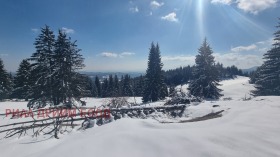 Οικόπεδο Μομτσηλοβτση, περιοχή Σμόλιαν 14