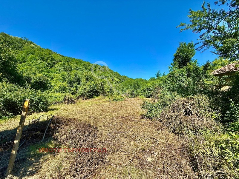 Til salg  Hus region Veliko Tarnovo , Elena , 93 kvm | 53200469 - billede [15]