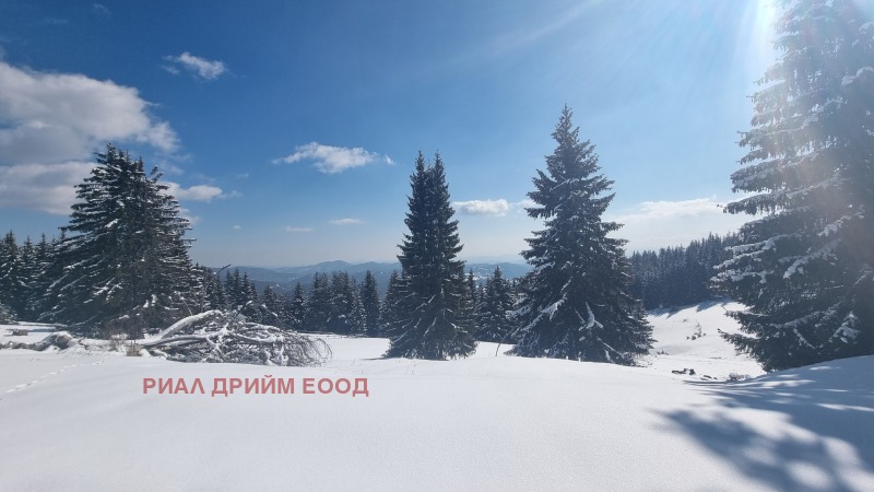For Sale  Plot region Smolyan , Momchilovtsi , 4727 sq.m | 56666971 - image [13]
