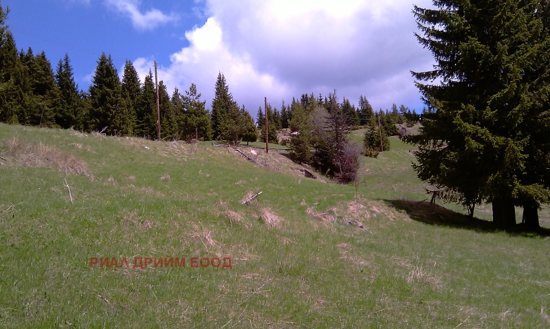 For Sale  Plot region Smolyan , Momchilovtsi , 4727 sq.m | 56666971 - image [7]
