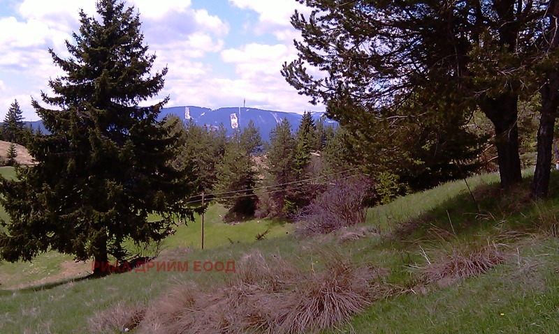 For Sale  Plot region Smolyan , Momchilovtsi , 4727 sq.m | 56666971 - image [3]