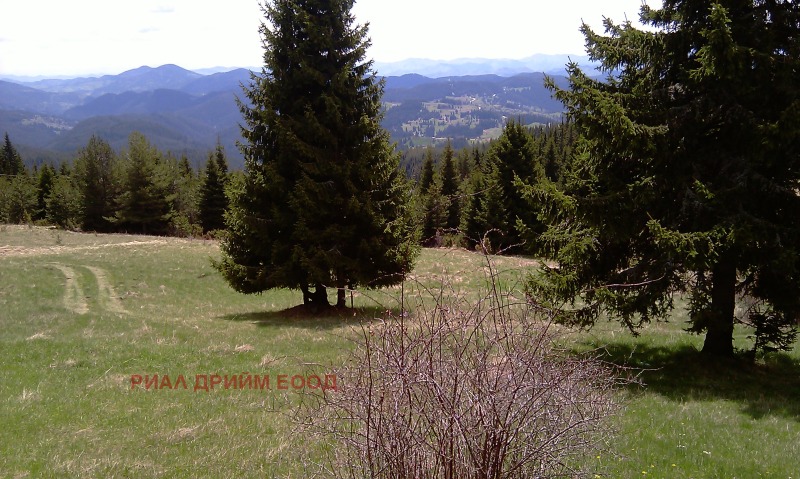 For Sale  Plot region Smolyan , Momchilovtsi , 4727 sq.m | 56666971 - image [4]