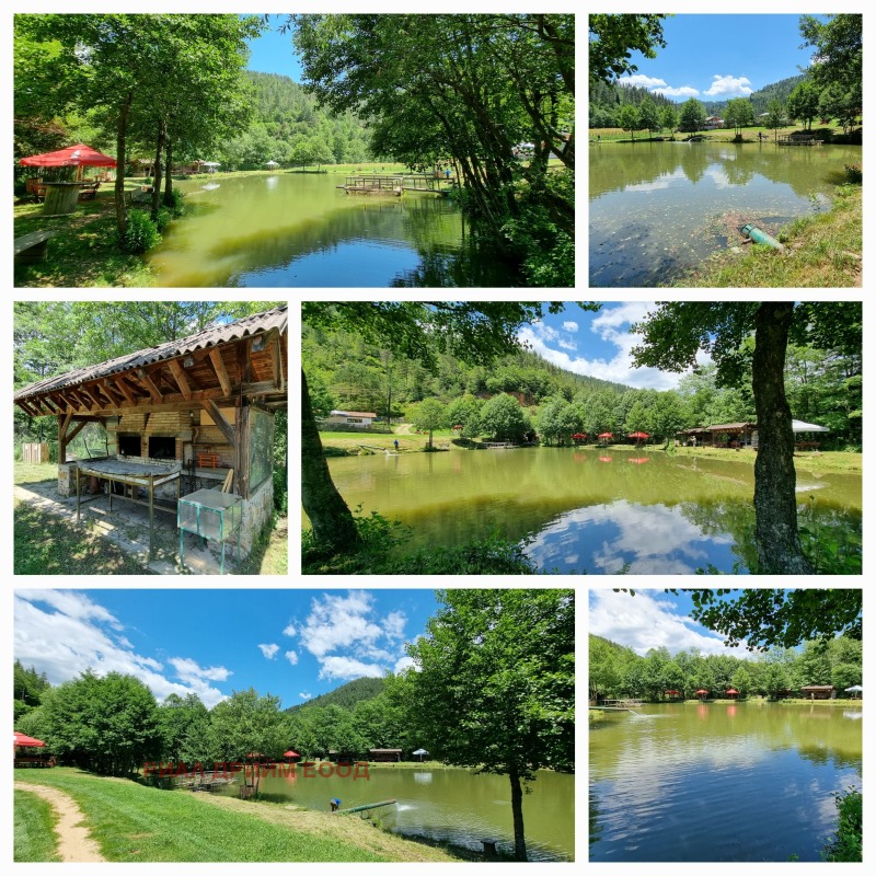 For Sale  Plot region Smolyan , Momchilovtsi , 4727 sq.m | 56666971 - image [17]