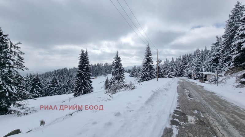 For Sale  Plot region Smolyan , Momchilovtsi , 4727 sq.m | 56666971 - image [11]