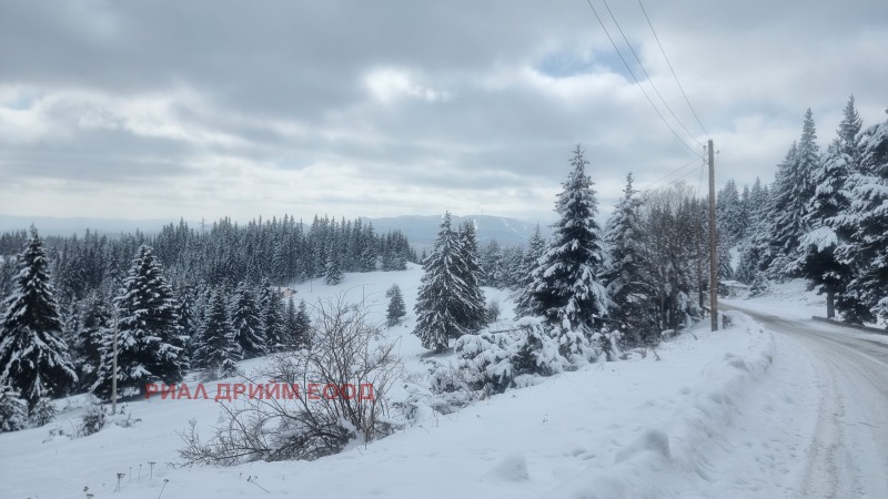For Sale  Plot region Smolyan , Momchilovtsi , 4727 sq.m | 56666971 - image [12]