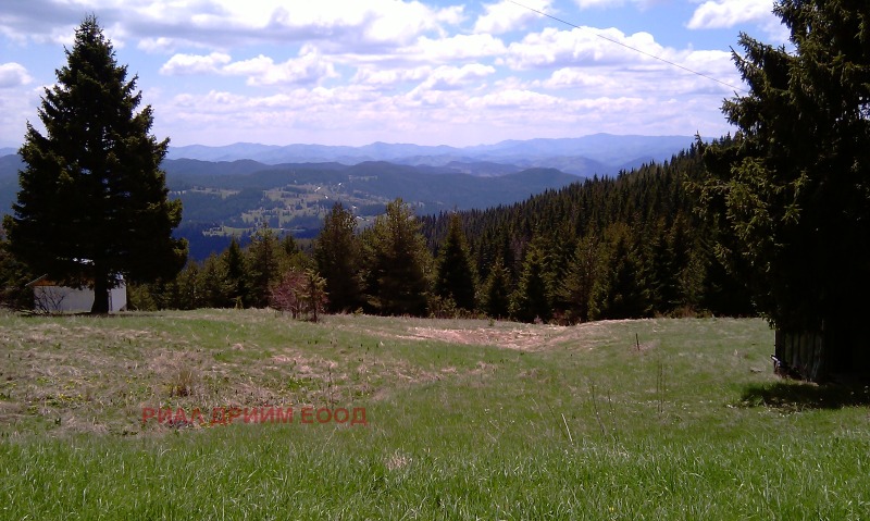 For Sale  Plot region Smolyan , Momchilovtsi , 4727 sq.m | 56666971