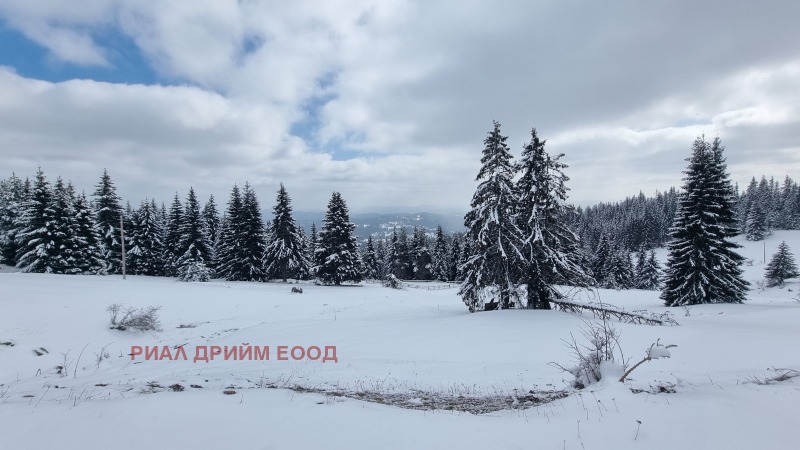 For Sale  Plot region Smolyan , Momchilovtsi , 4727 sq.m | 56666971 - image [9]