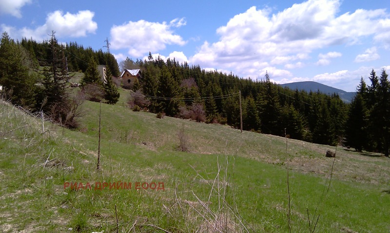 For Sale  Plot region Smolyan , Momchilovtsi , 4727 sq.m | 56666971 - image [6]