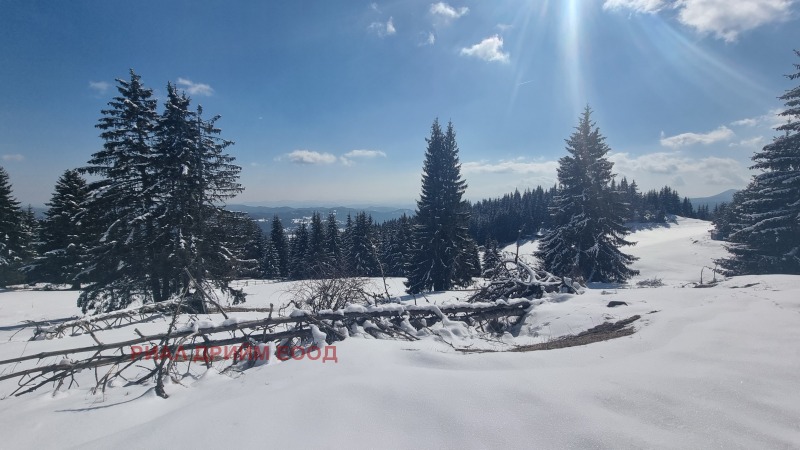 For Sale  Plot region Smolyan , Momchilovtsi , 4727 sq.m | 56666971 - image [14]