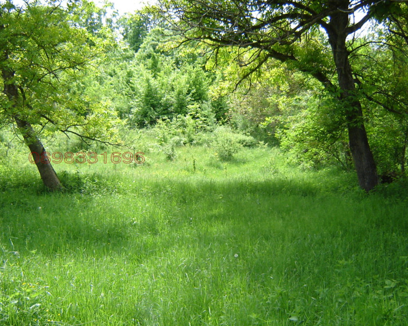 Продава ПАРЦЕЛ, с. Сопот, област Ловеч, снимка 2 - Парцели - 52785506