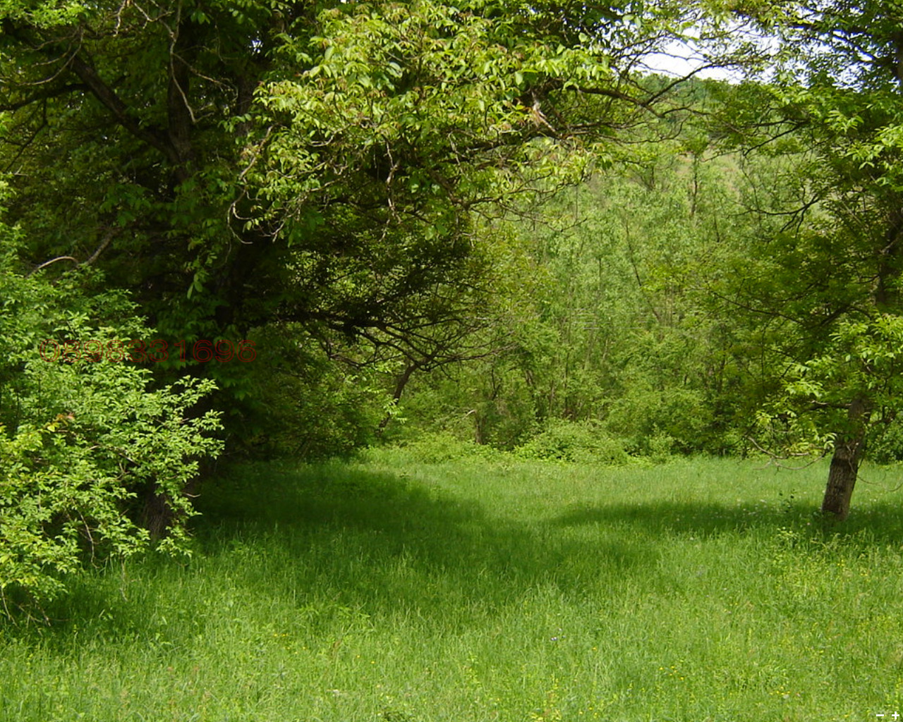 Продава ПАРЦЕЛ, с. Сопот, област Ловеч, снимка 4 - Парцели - 53673372