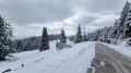 Продава ПАРЦЕЛ, област Смолян, с. Момчиловци • 165445 € • 21255226 — Holmes.bg