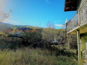 ����� ������� ����,�. ���������, ������ �������