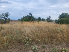 For Sale Plot