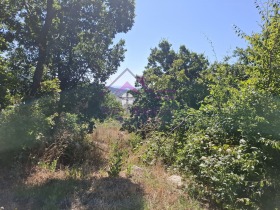 ������� ������ | Imot.bg � ����� ������ 8