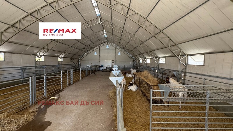 Продава БИЗНЕС ИМОТ, с. Пробуда, област Търговище, снимка 10 - Други - 51950978