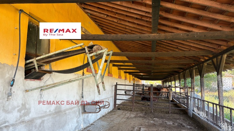 Продава БИЗНЕС ИМОТ, с. Пробуда, област Търговище, снимка 11 - Други - 51950978