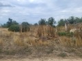 Продава ПАРЦЕЛ, област Варна, с. Ботево • 23000 € • 40183576 — Holmes.bg