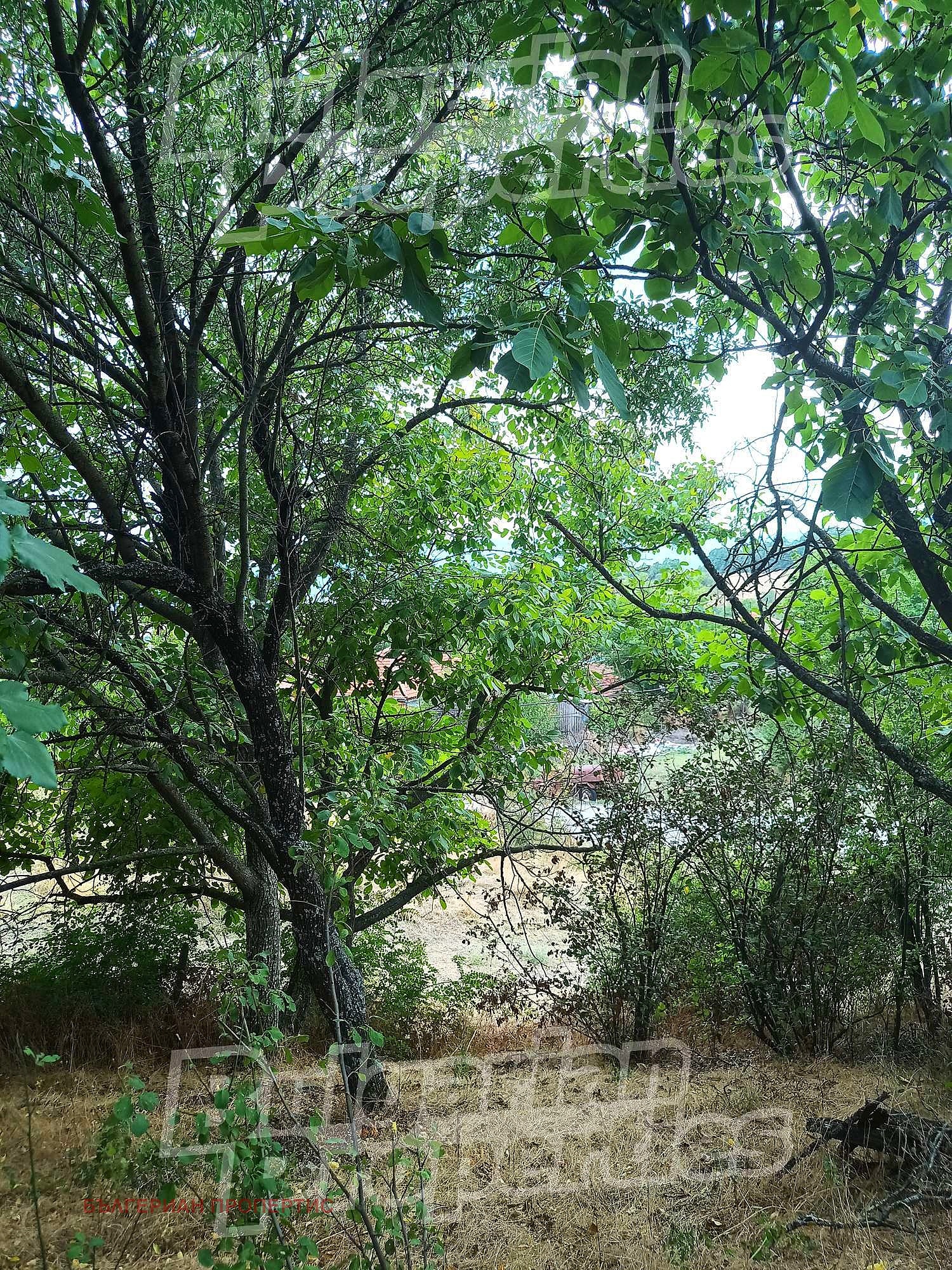 Продава ПАРЦЕЛ | Imot.bg — изображение 6