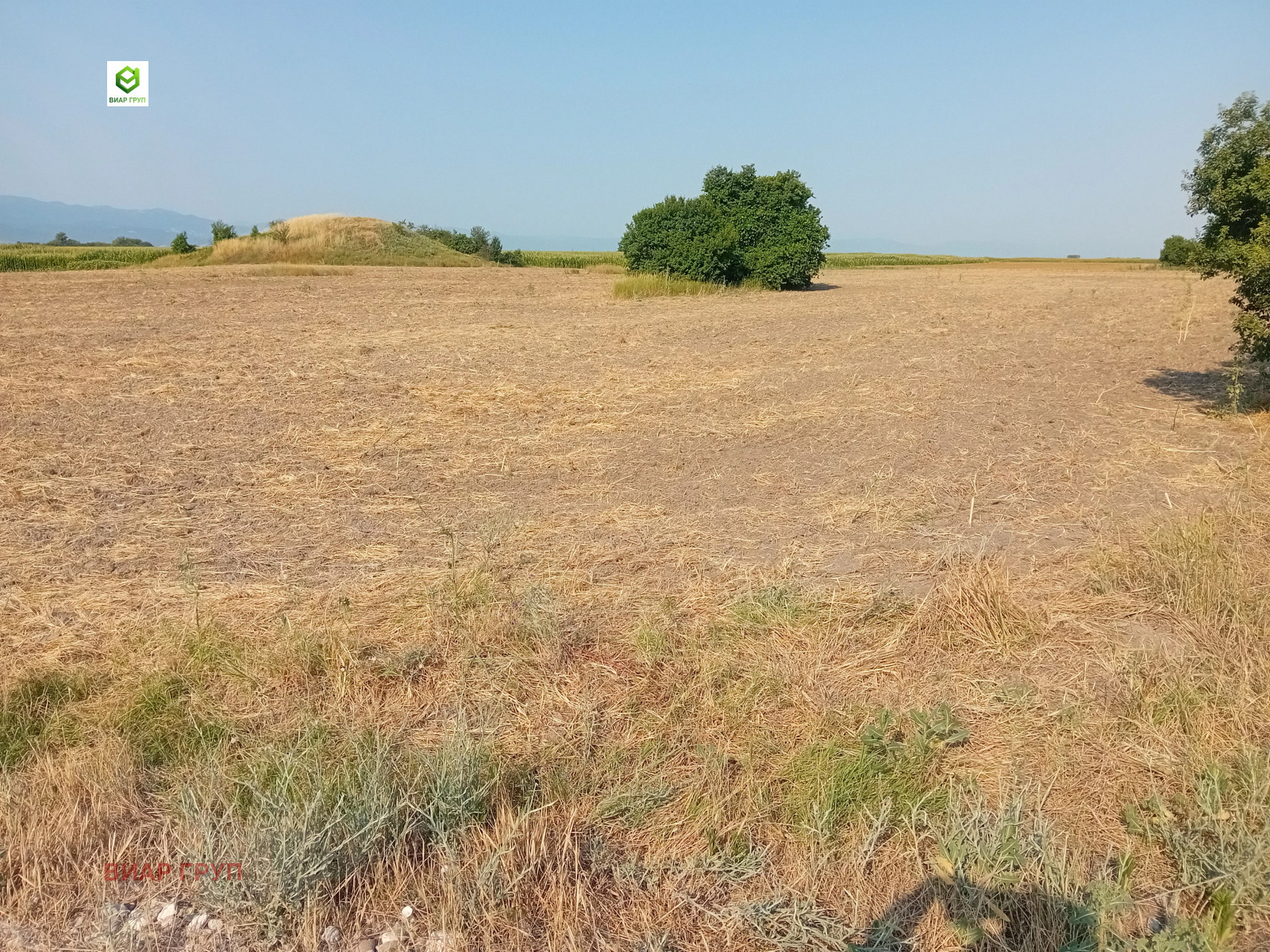 ������� ���������� ���� | Imot.bg � ����������� 1