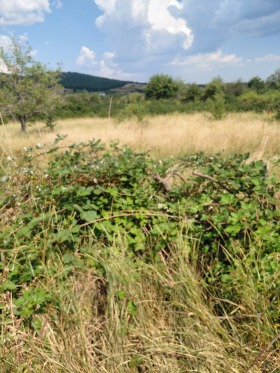 ������� ������ | Imot.bg � ����� ������ 8