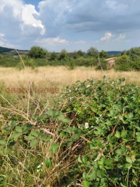 ������� ������ | Imot.bg � ����� ������ 6