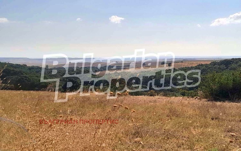 Продава ПАРЦЕЛ, с. Ефрем, област Хасково, снимка 3 - Парцели - 52149868