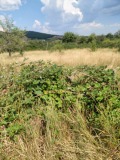 Продава ПАРЦЕЛ, с. Кръстевич, област Пловдив, снимка 8