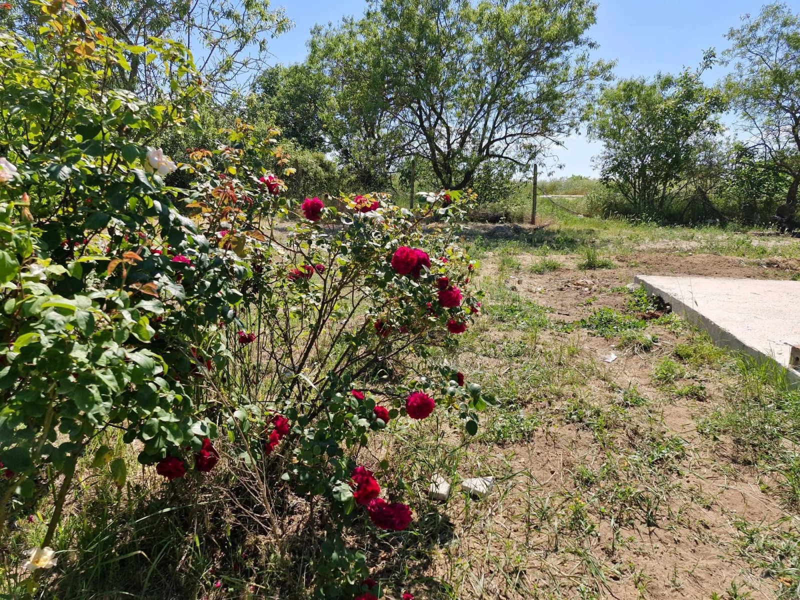 Продава КЪЩА | Imot.bg — изображение 4