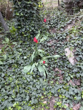 ������� ���� �� ���� | Imot.bg � ����� ������ 16