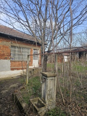 Maison Yuper, région Razgrad 3