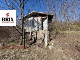 ������ ������� ����