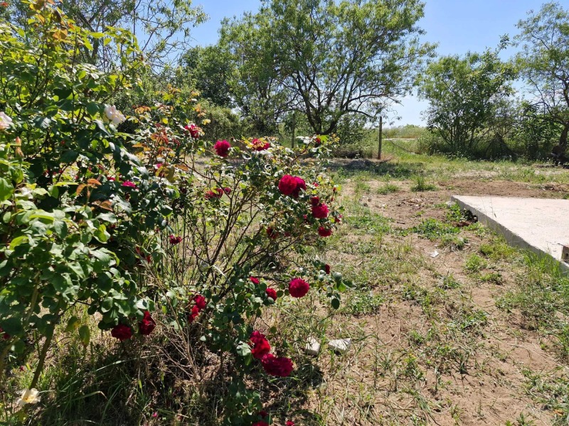 Продава  Къща град Варна , м-т Боровец - север , 83 кв.м | 44374976 - изображение [4]