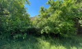 Продава КЪЩА, с. Преспа, област Добрич, снимка 8