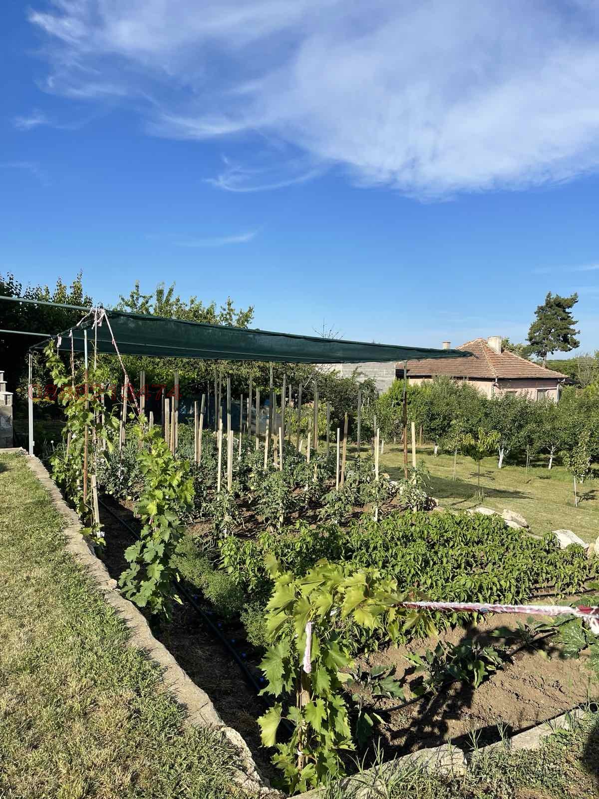 Продава КЪЩА, с. Ерден, област Монтана, снимка 4 - Къщи - 55204229