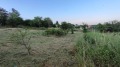 Продава ПАРЦЕЛ, с. Изгрев, област Варна, снимка 7