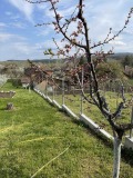 Продава  Къща област Монтана , с. Ерден , 45 кв.м | 26774437 - изображение [9]