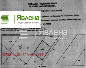 ����� ������� ������,�. ���������, ������ �����