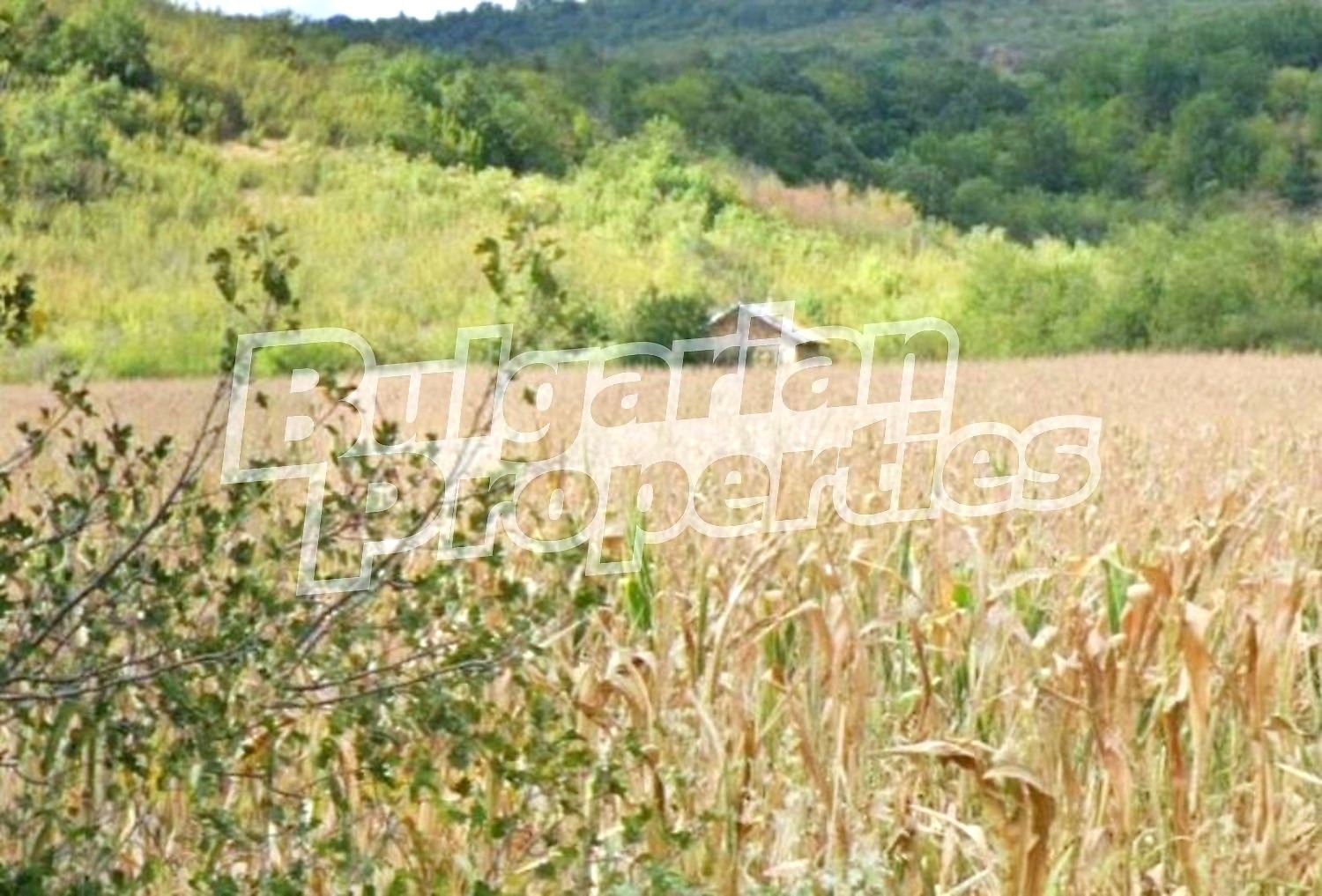 ������� ���� | Imot.bg � ����������� 6